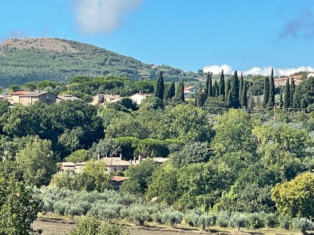 Rustico / casale a Gualdo cattaneo in Via Duca degli Abruzzi - Foto 3