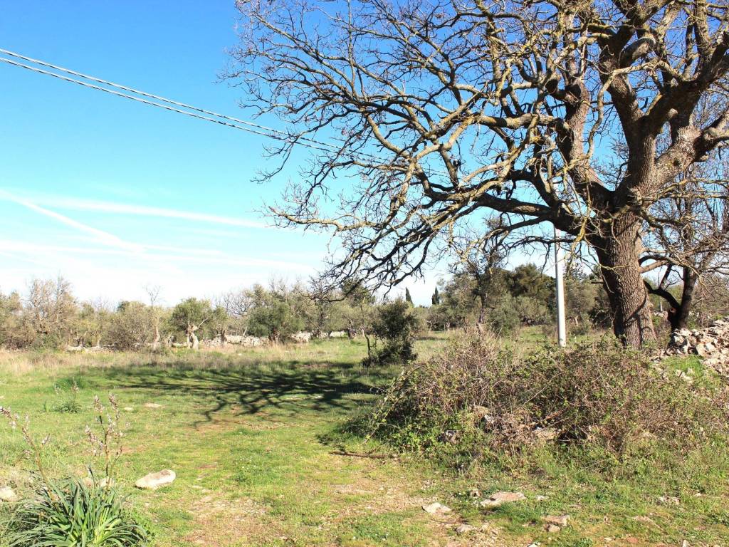 Terreno a Santeramo in colle - Foto 2