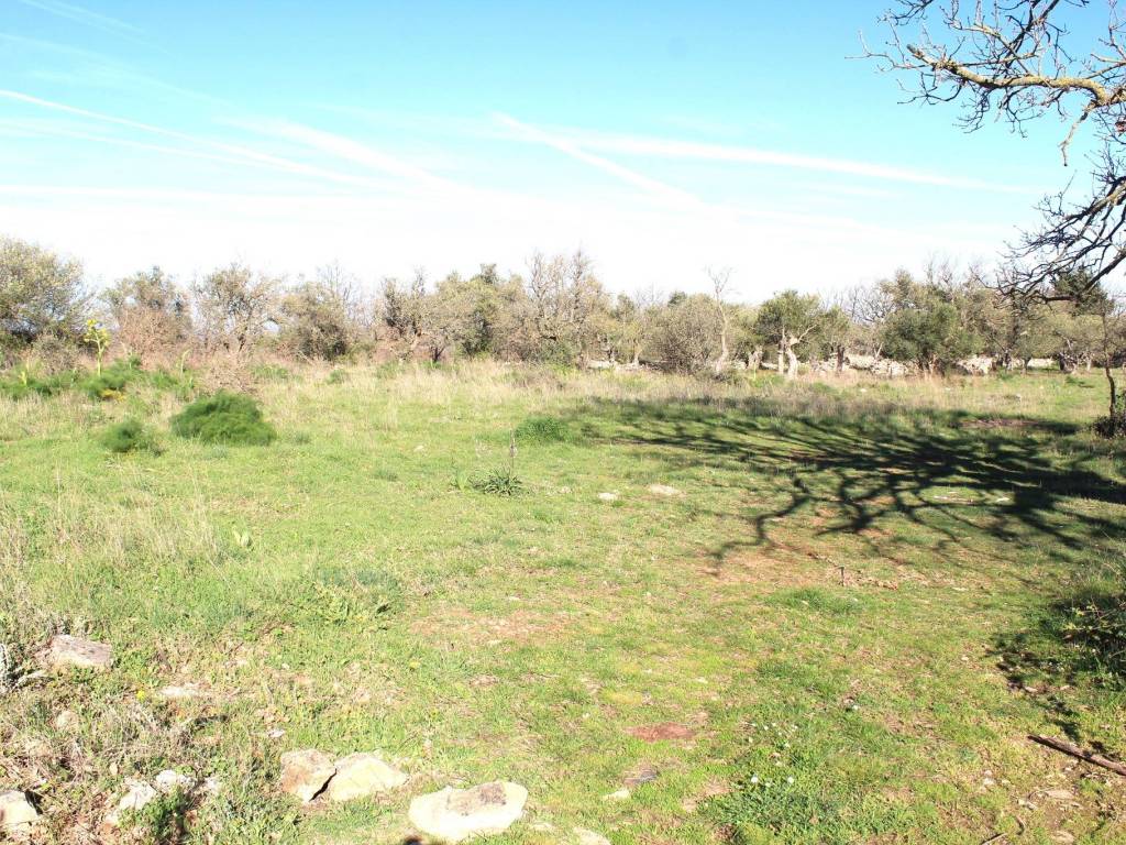 Terreno a Santeramo in colle - Foto 3