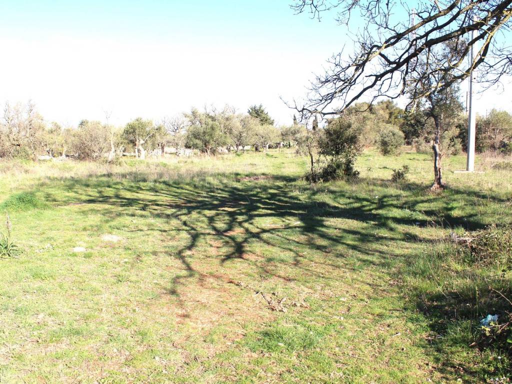 Terreno a Santeramo in colle - Foto 4