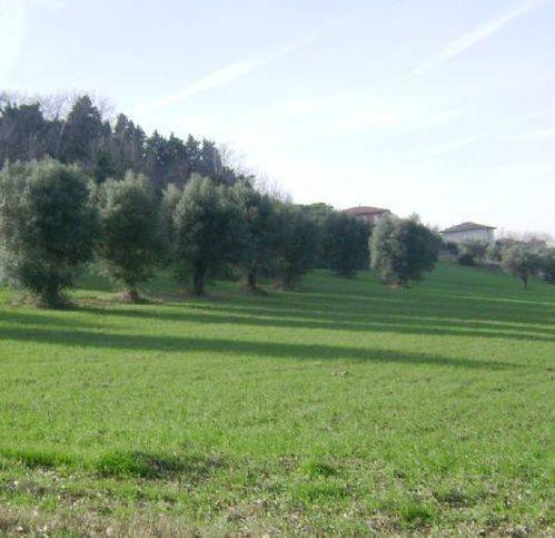 Rustico / casale a Corridonia - Foto 5