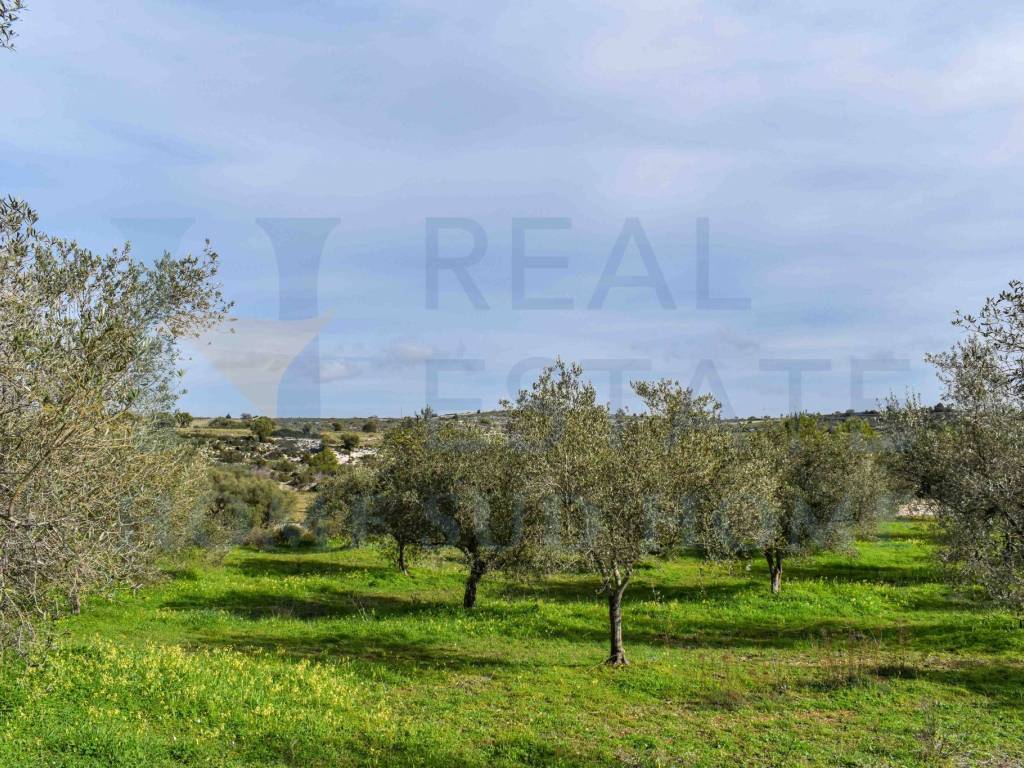 Rustico / casale a Noto in Via Tommaso Fazello, 228 - Foto 3