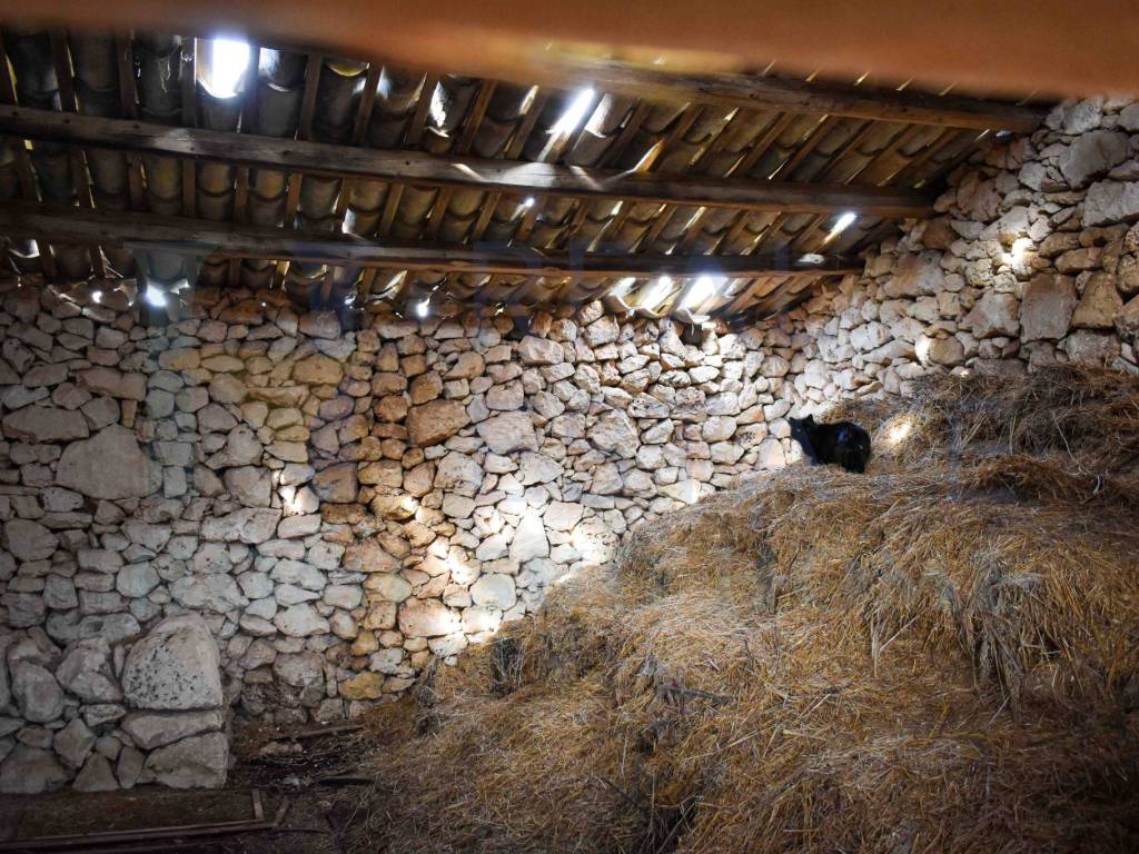 Rustico / casale a Noto in Via Tommaso Fazello, 228 - Foto 4