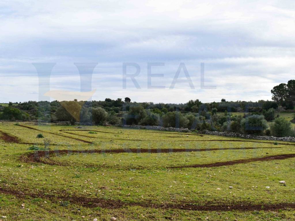 Rustico / casale a Noto in Via Tommaso Fazello, 228 - Foto 5
