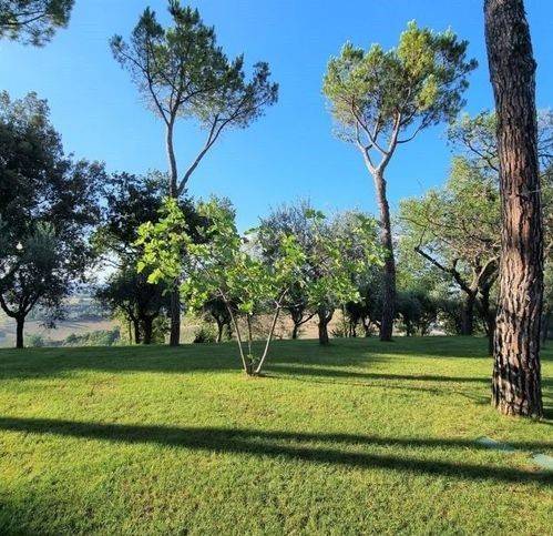 Villa a Mogliano - Foto 4