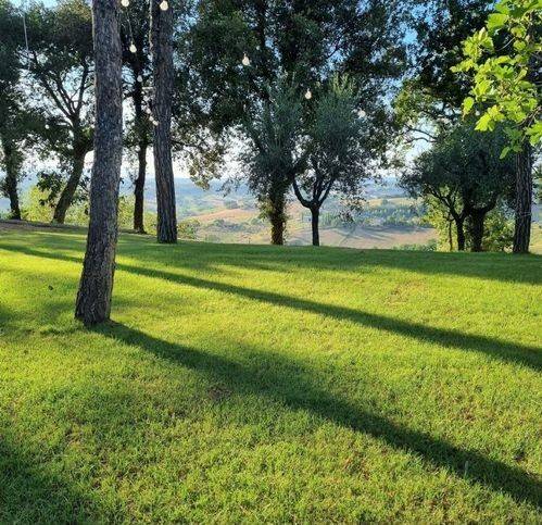 Villa a Mogliano - Foto 5