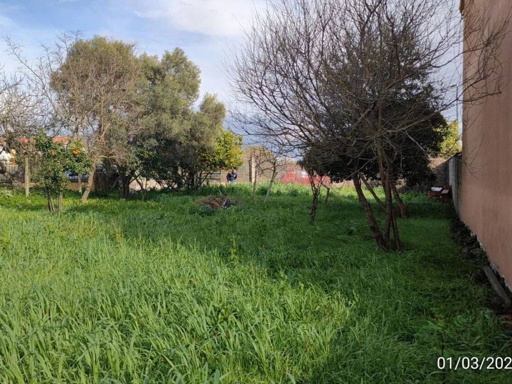 Terreno a Santa giusta in Località S'Ortu S.N.C. - Foto 2