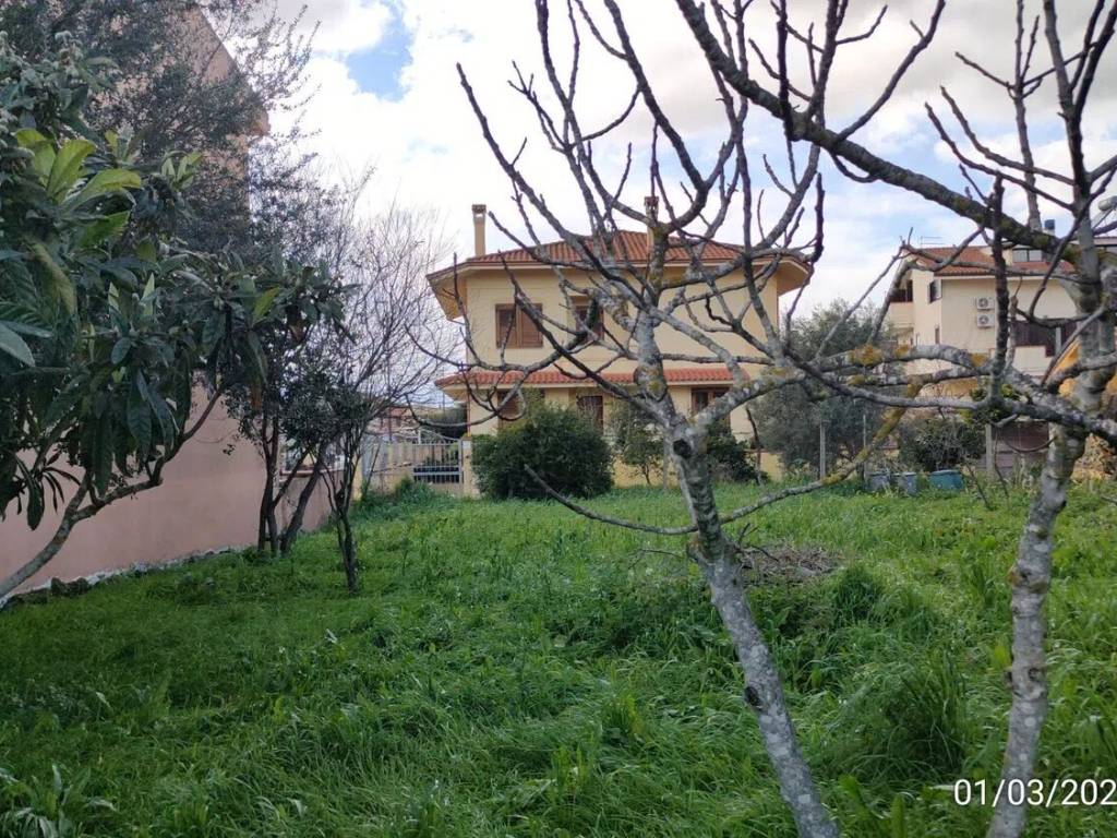 Terreno a Santa giusta in Località S'Ortu S.N.C. - Foto 3