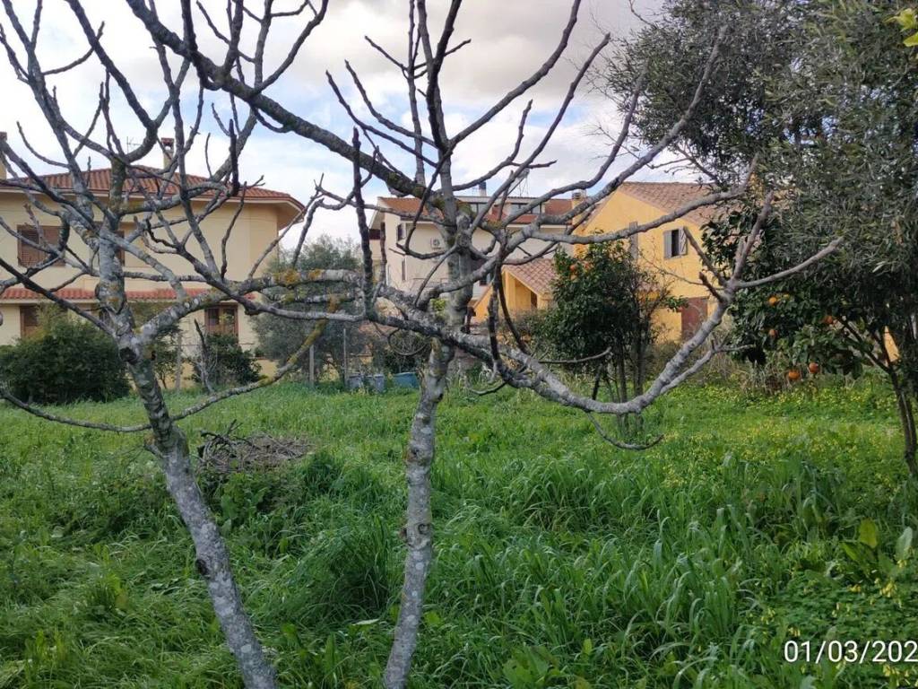 Terreno a Santa giusta in Località S'Ortu S.N.C. - Foto 4