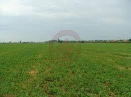 Terreno a Villanova di camposampiero in via Cornara - Foto 3