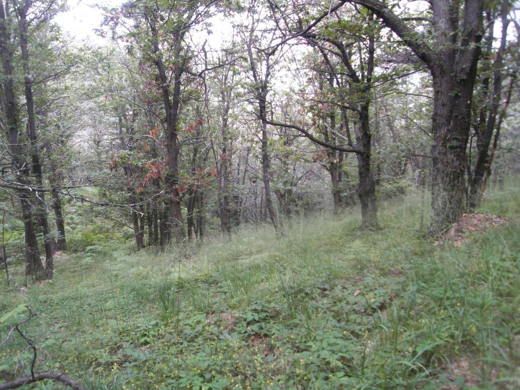 Rustico / casale a Roccaforte mondovì in Regione Bruch - Foto 5
