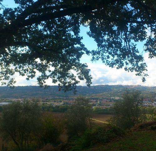 Rustico / casale a Torgiano in Miralduolo - Foto 5