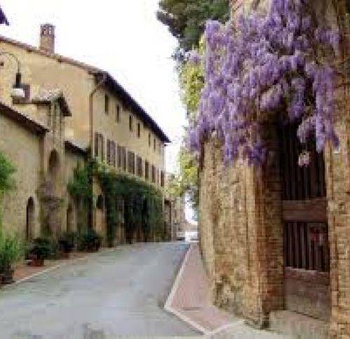 Terreno a Torgiano in Via Trascurati - Foto 4