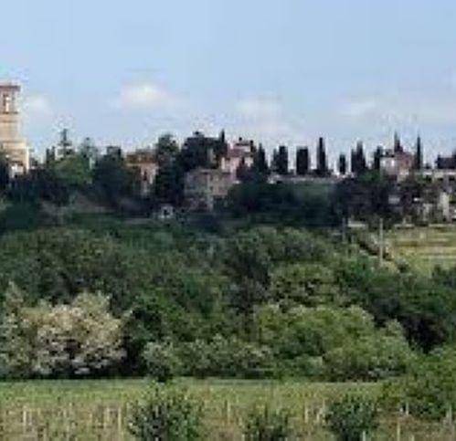 Terreno a Torgiano in Via Trascurati - Foto 5