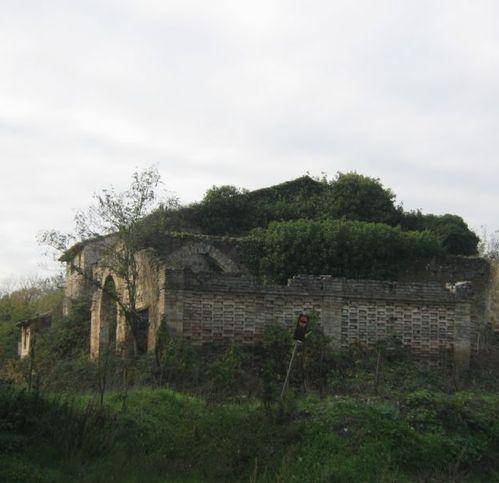 Rustico / casale a Torgiano in Via Mario Angeloni - Foto 2