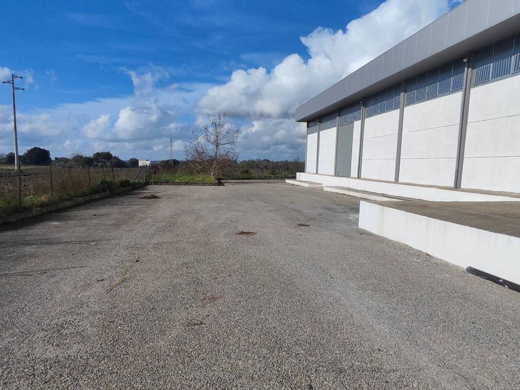 Immobile a Viterbo in Strada Teverina - Foto 3