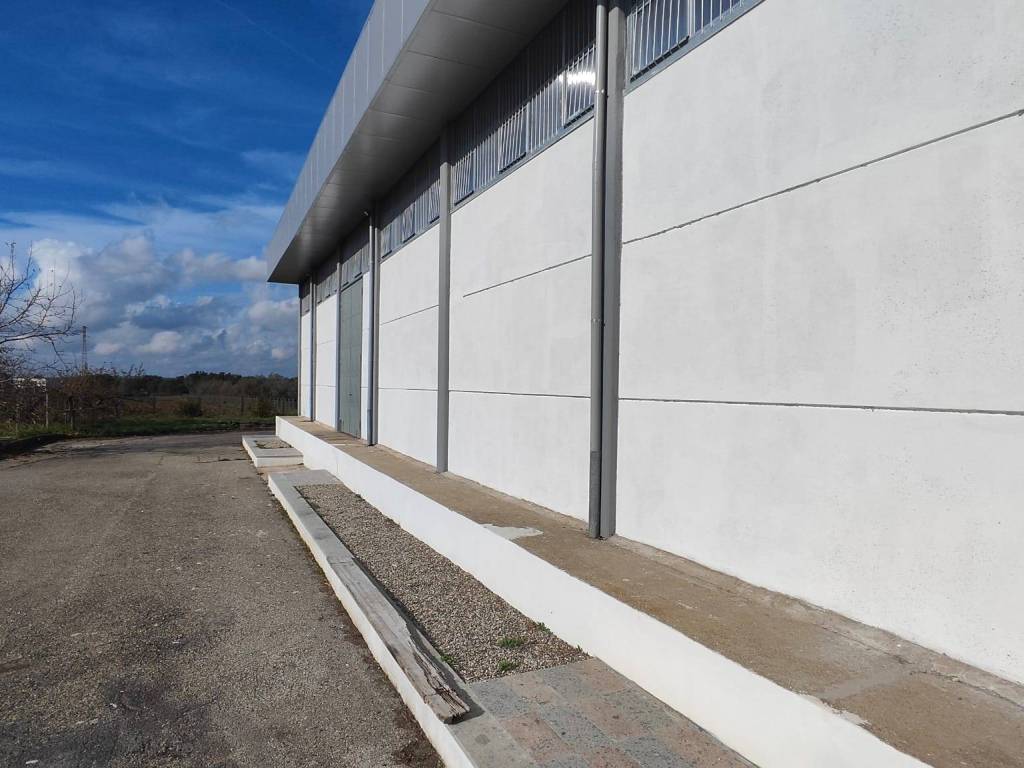 Immobile a Viterbo in Strada Teverina - Foto 5