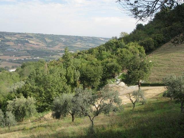 Rustico / casale a Montefiore dell'aso in Montefiore - Foto 3