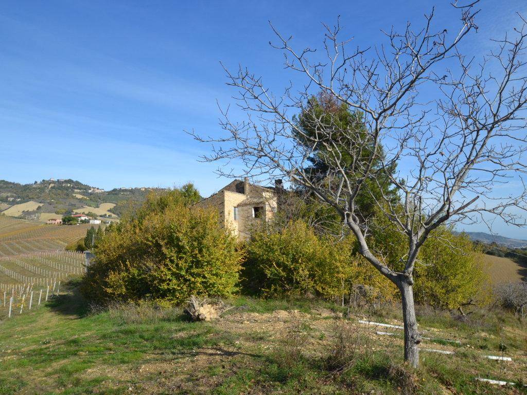 Rustico / casale a Ripatransone in Contrada San Rustico - Foto 5