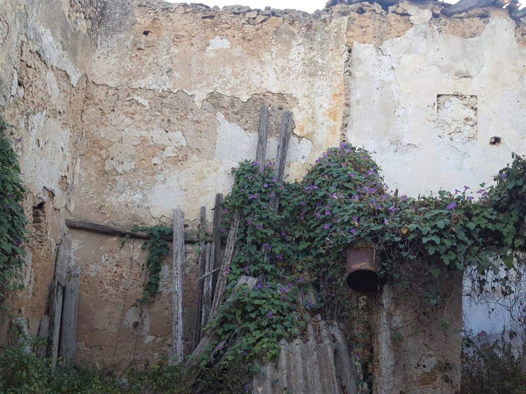 Rustico / casale a Balestrate in contrada Passarello /Cassarà - Foto 3