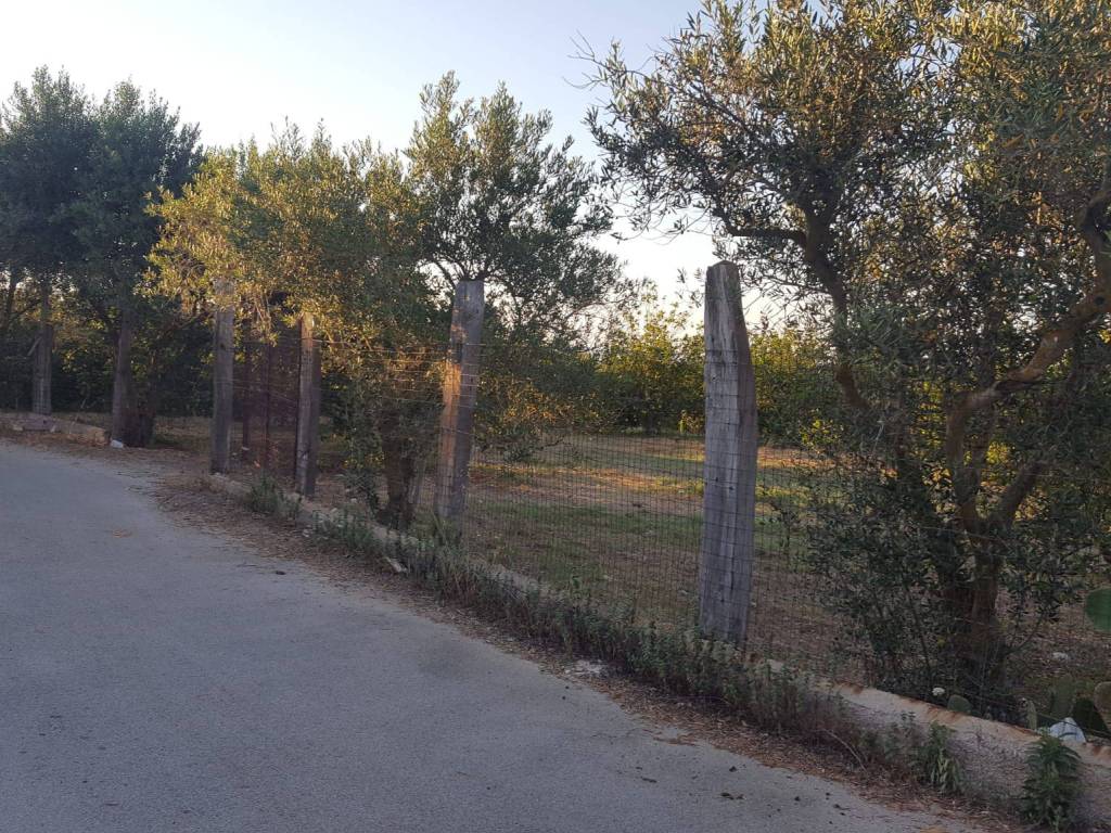 Rustico / casale a Balestrate in contrada Passarello /Cassarà - Foto 4