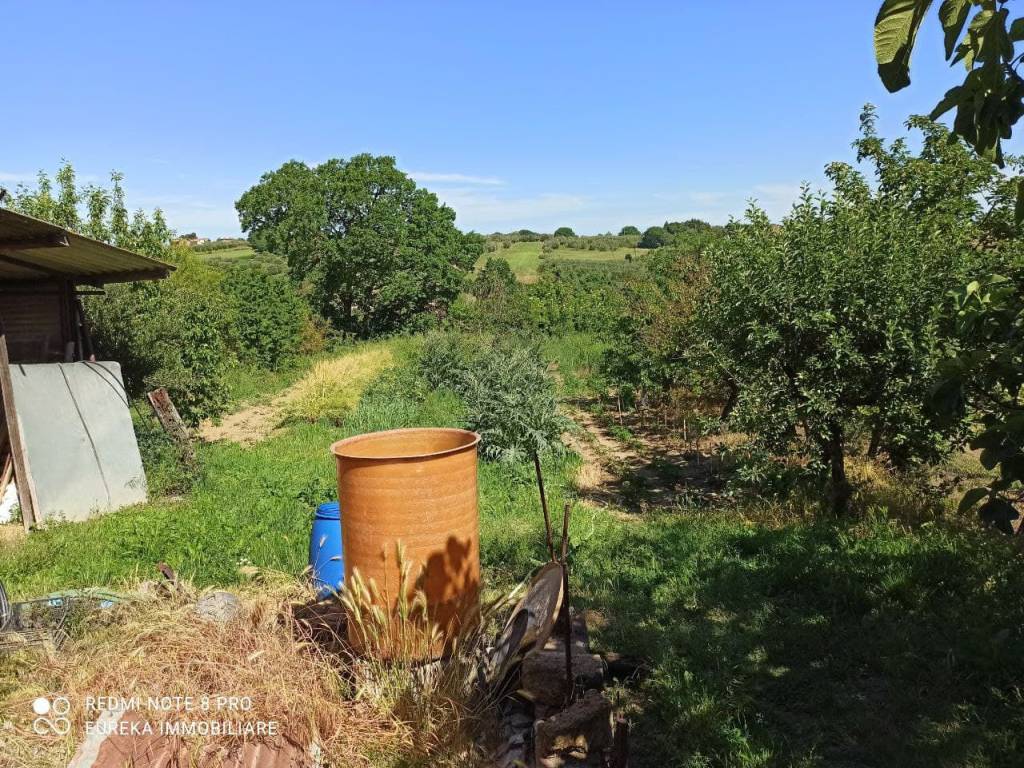 Terreno a Castiglione del lago in Strada Provinciale dei Lopi - Foto 4