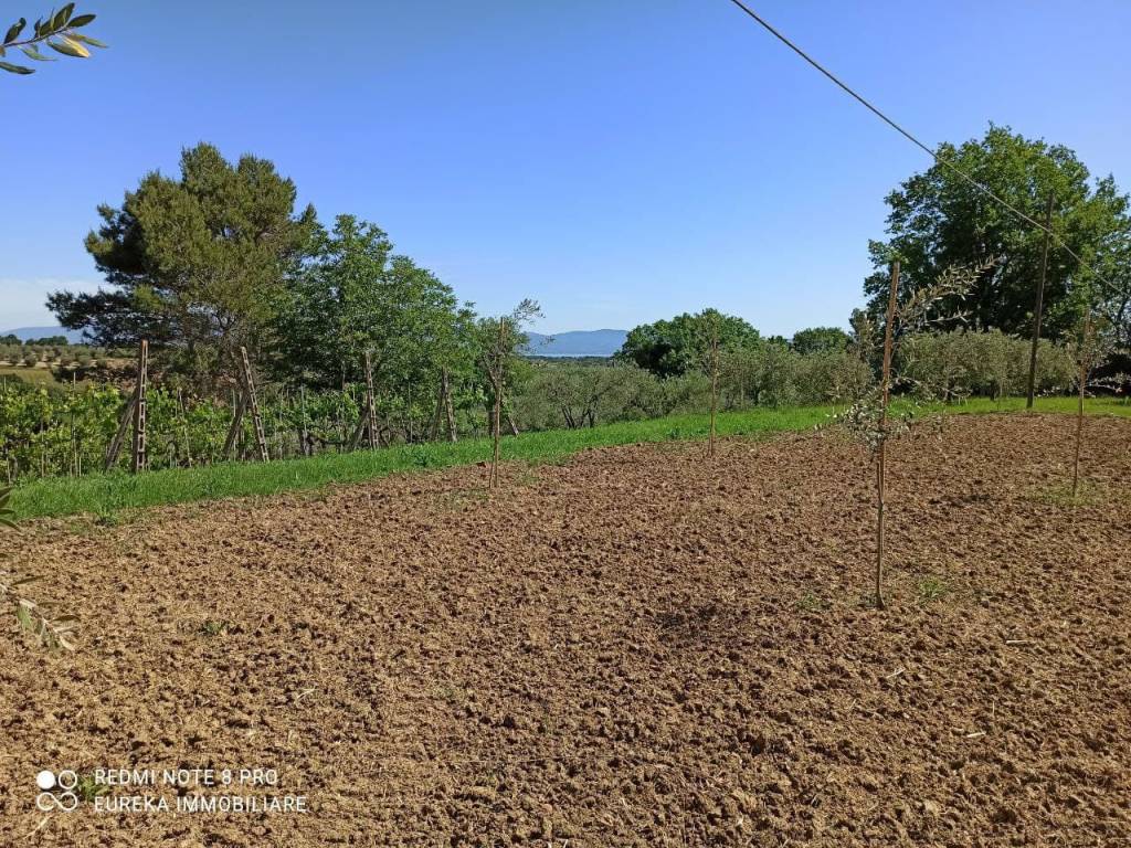 Terreno a Castiglione del lago in Strada Provinciale dei Lopi - Foto 5