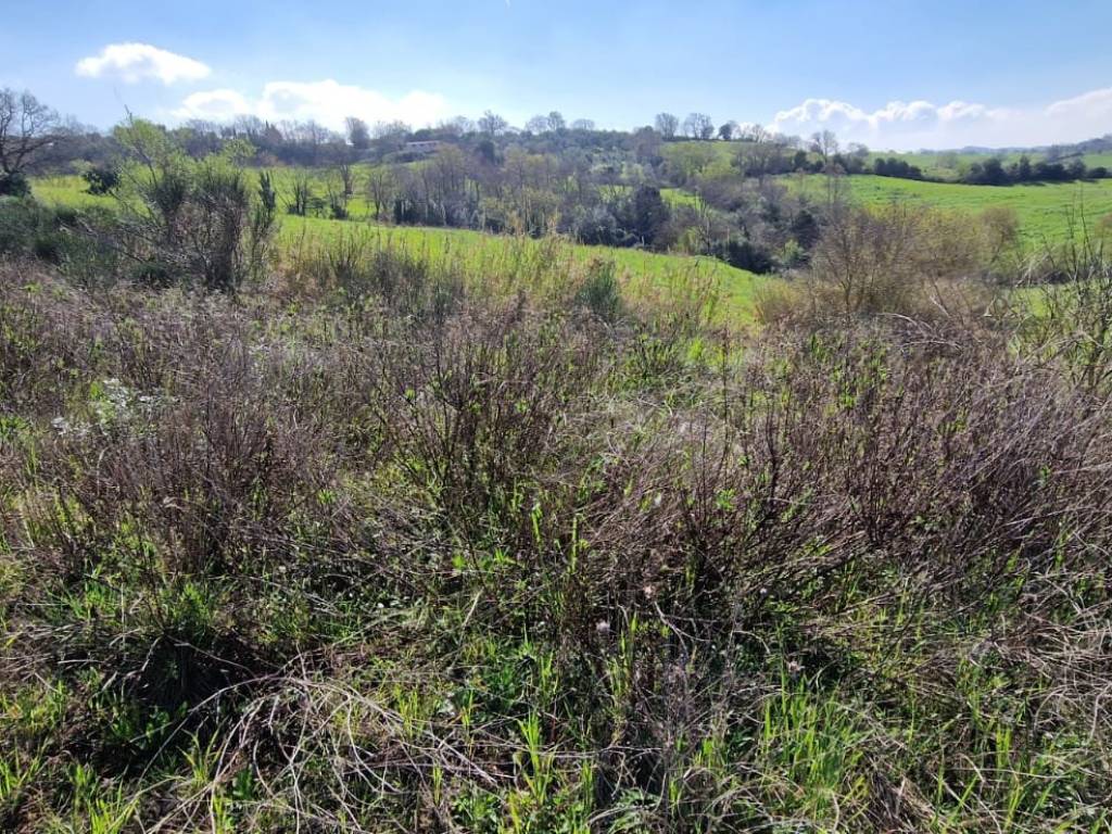 Rustico / casale a Manciano - Foto 4