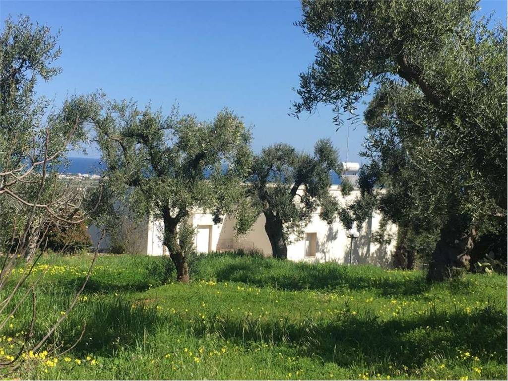 Villa a Carovigno - Foto 2