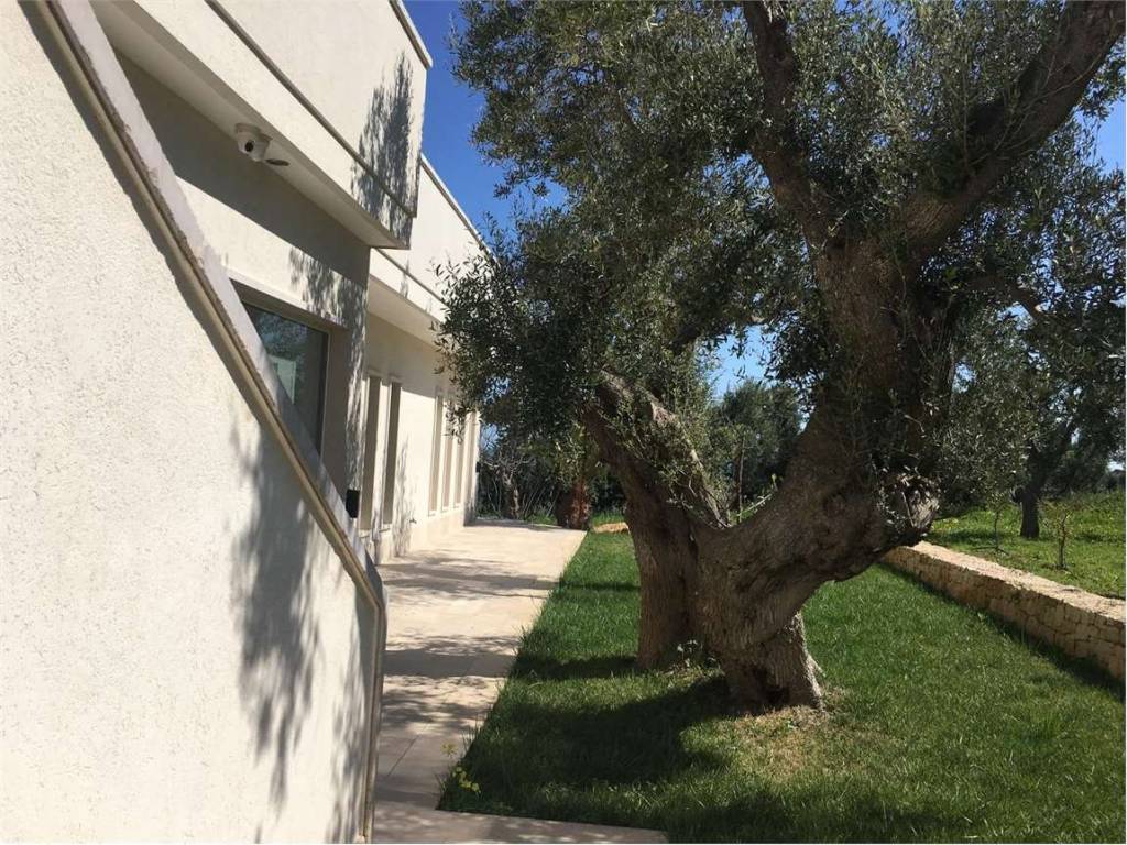 Villa a Carovigno - Foto 4