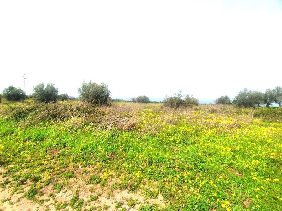 Terreno a Drapia - Foto 3