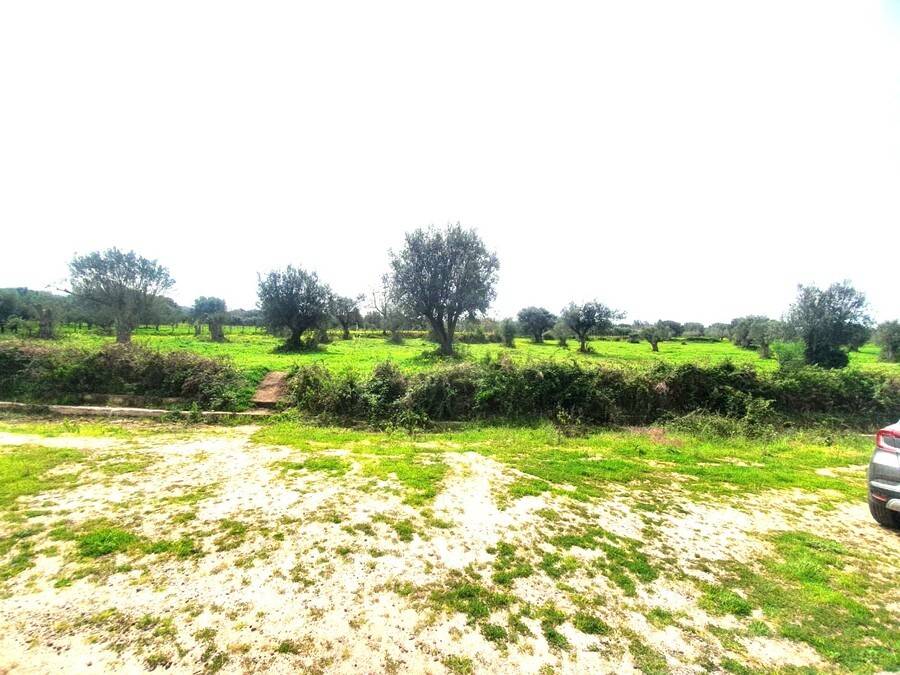 Terreno a Drapia - Foto 4