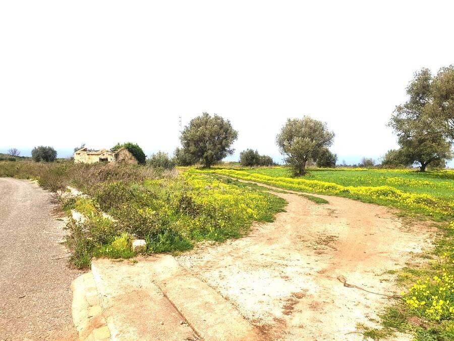 Terreno a Drapia - Foto 5