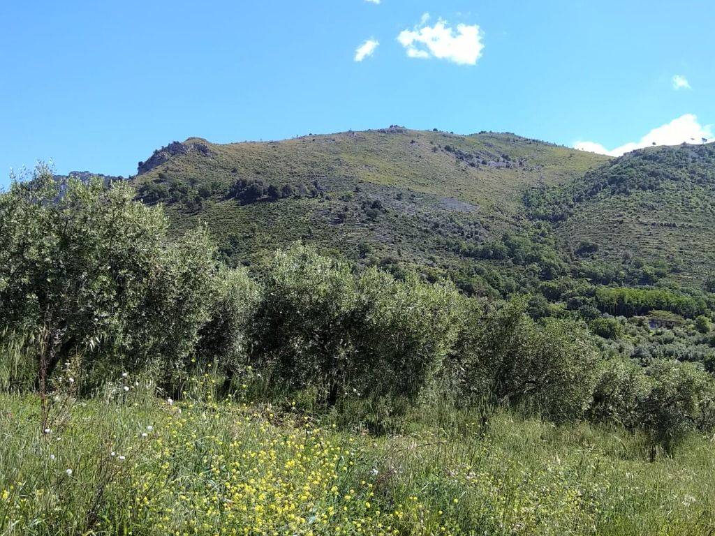 Terreno a Roccasecca in Strada Provinciale Roccasecca-Casalvieri - Foto 4