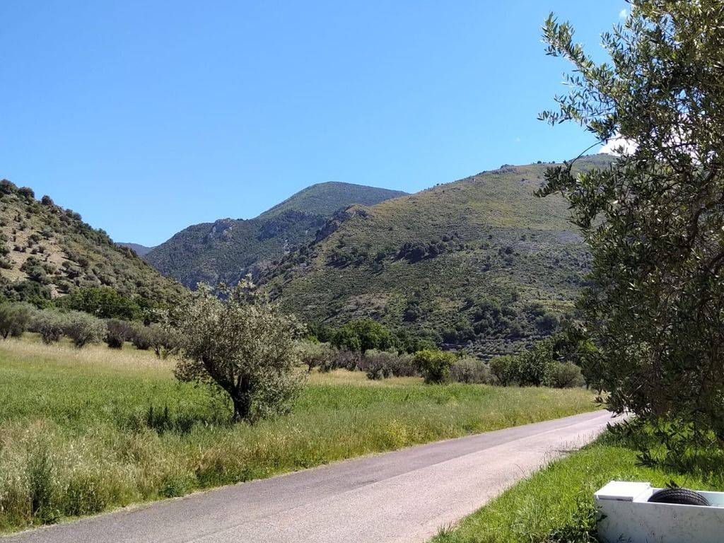 Terreno a Roccasecca in Strada Provinciale Roccasecca-Casalvieri - Foto 5