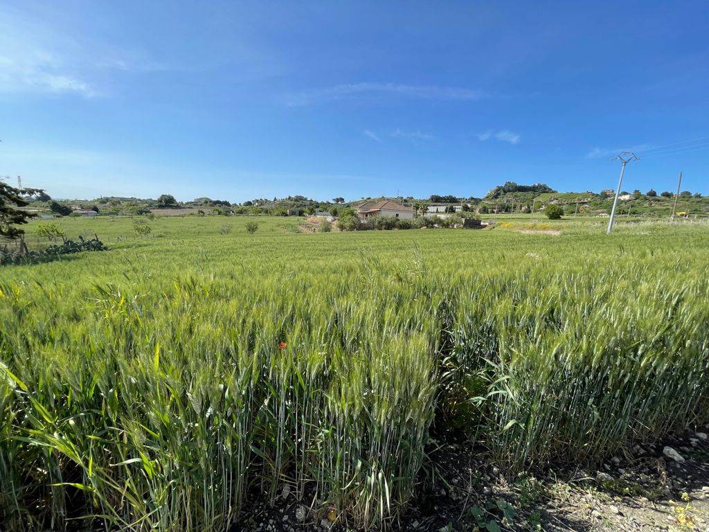 Terreno a Canicattì - Foto 2