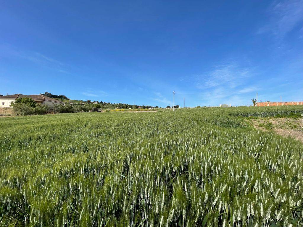 Terreno a Canicattì - Foto 3