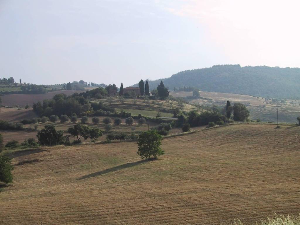 Rustico / casale a Torrita di siena in Via di Ciliano - Foto 2