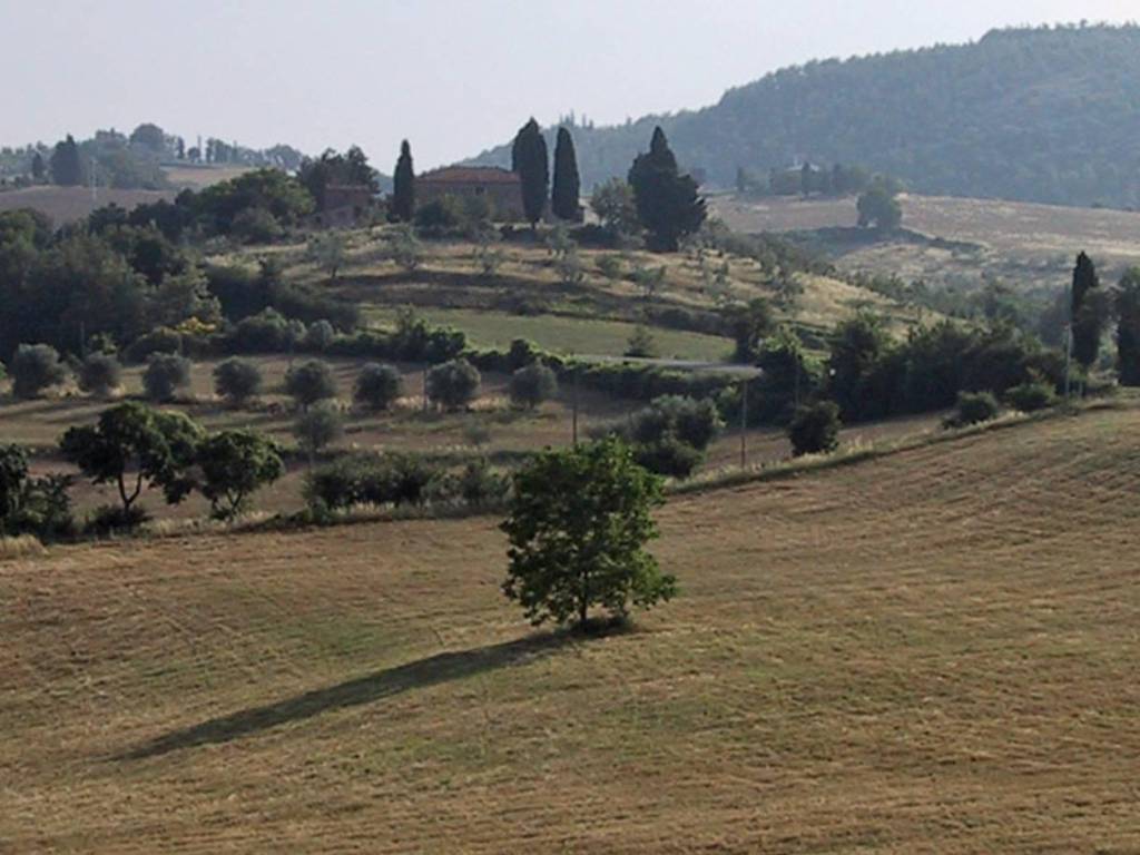 Rustico / casale a Torrita di siena in Via di Ciliano - Foto 3