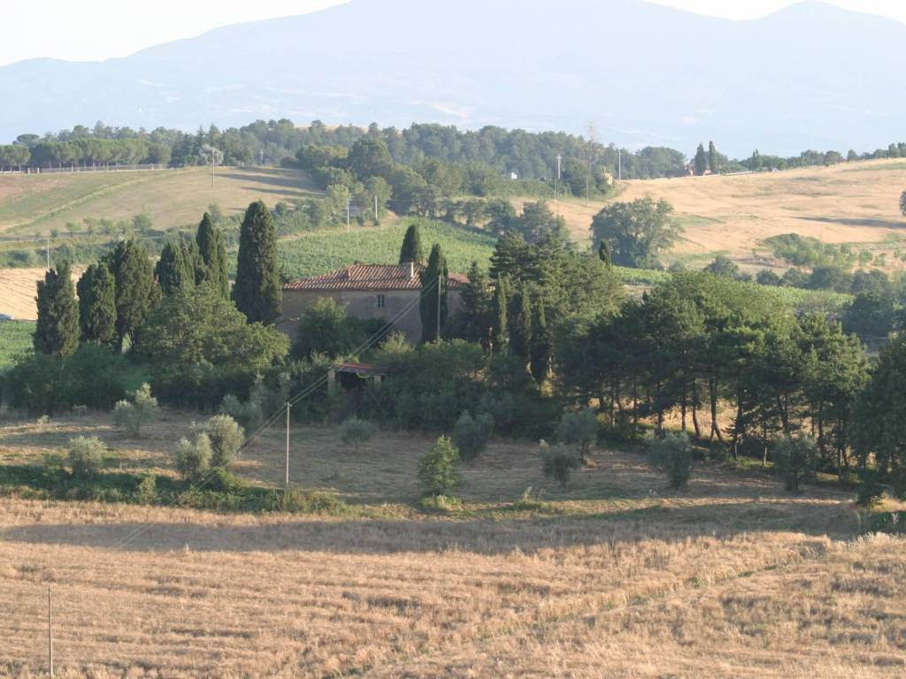 Rustico / casale a Torrita di siena in Via di Ciliano - Foto 4