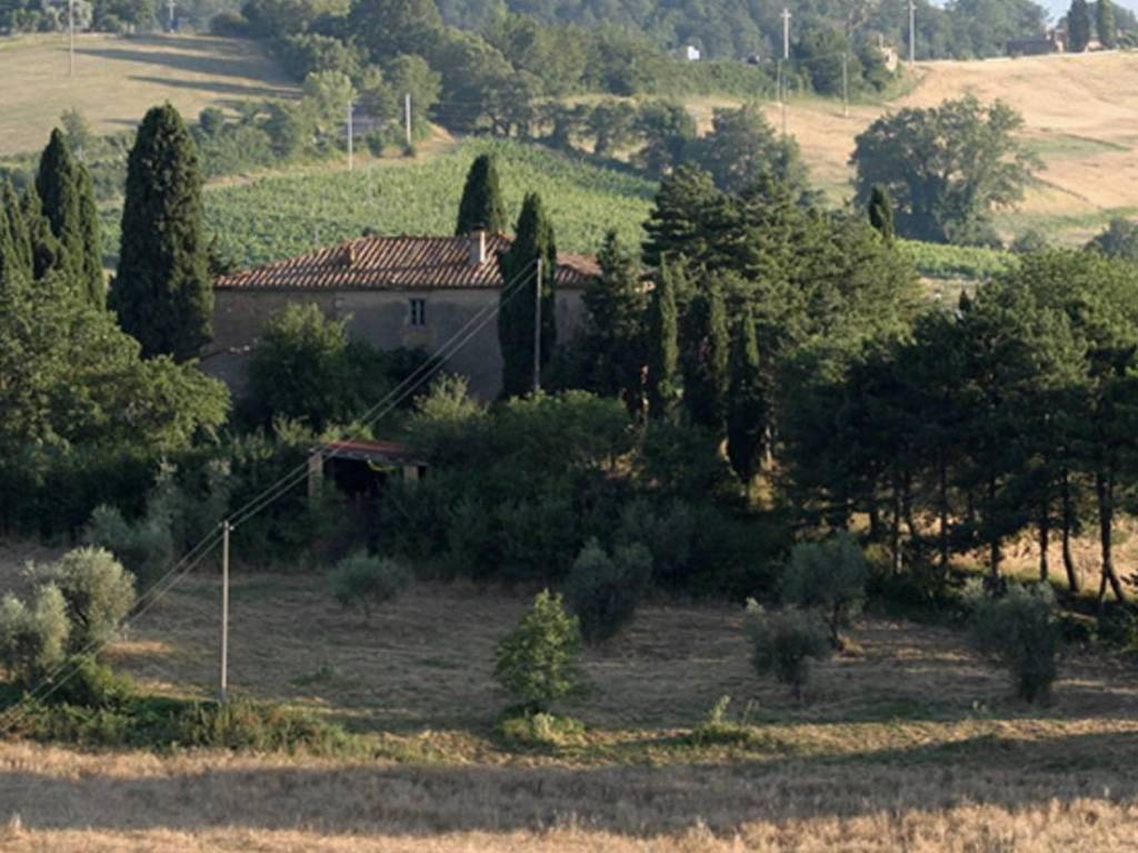 Rustico / casale a Torrita di siena in Via di Ciliano - Foto 5