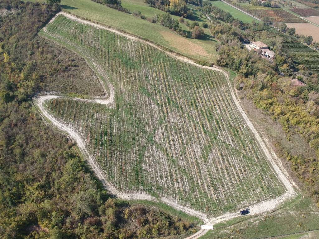 Terreno a Savignano sul panaro - Foto 2
