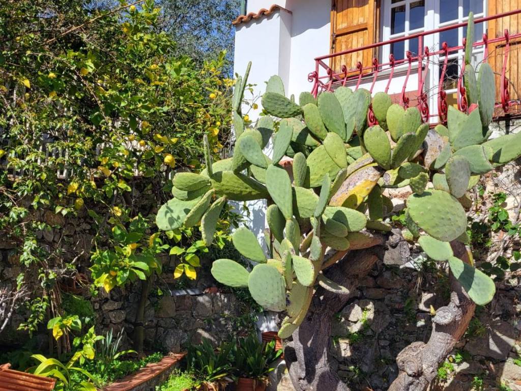 Villa a Arcola in Via della Libertà, 43 - Foto 2