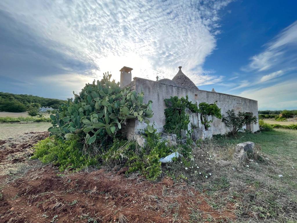 Rustico / casale a Ceglie messapica in SP14 - Foto 4