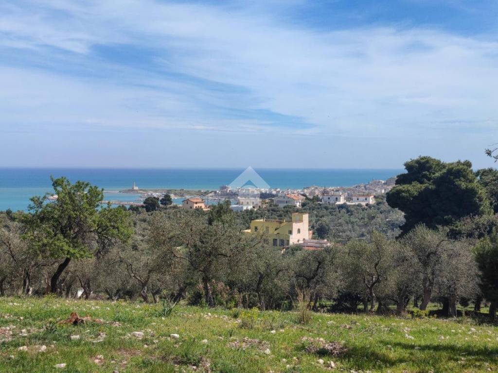 Terreno a Vieste in Via LOC.CUTINAZZO - Foto 3
