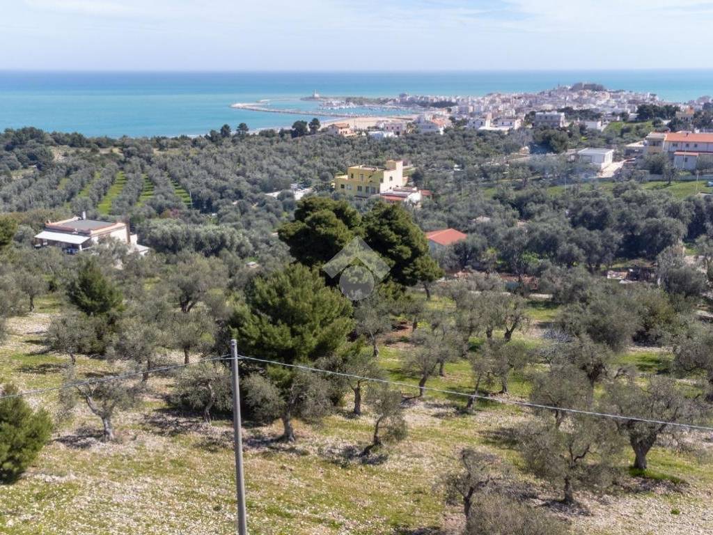 Terreno a Vieste in Via LOC.CUTINAZZO - Foto 5