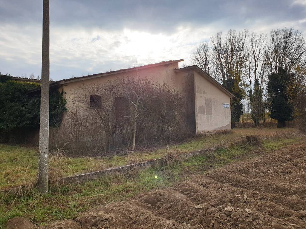 Rustico / casale a Pontelongo in Via Peverini - Foto 2