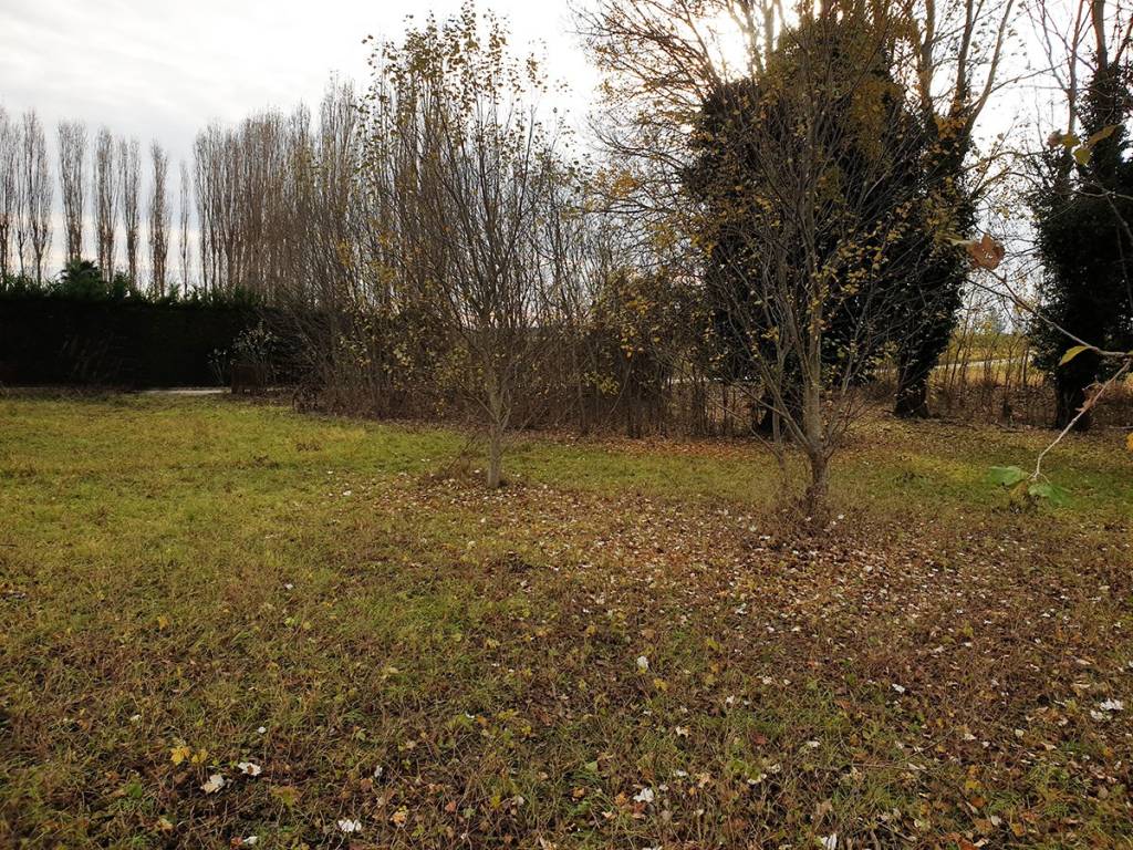 Rustico / casale a Pontelongo in Via Peverini - Foto 4