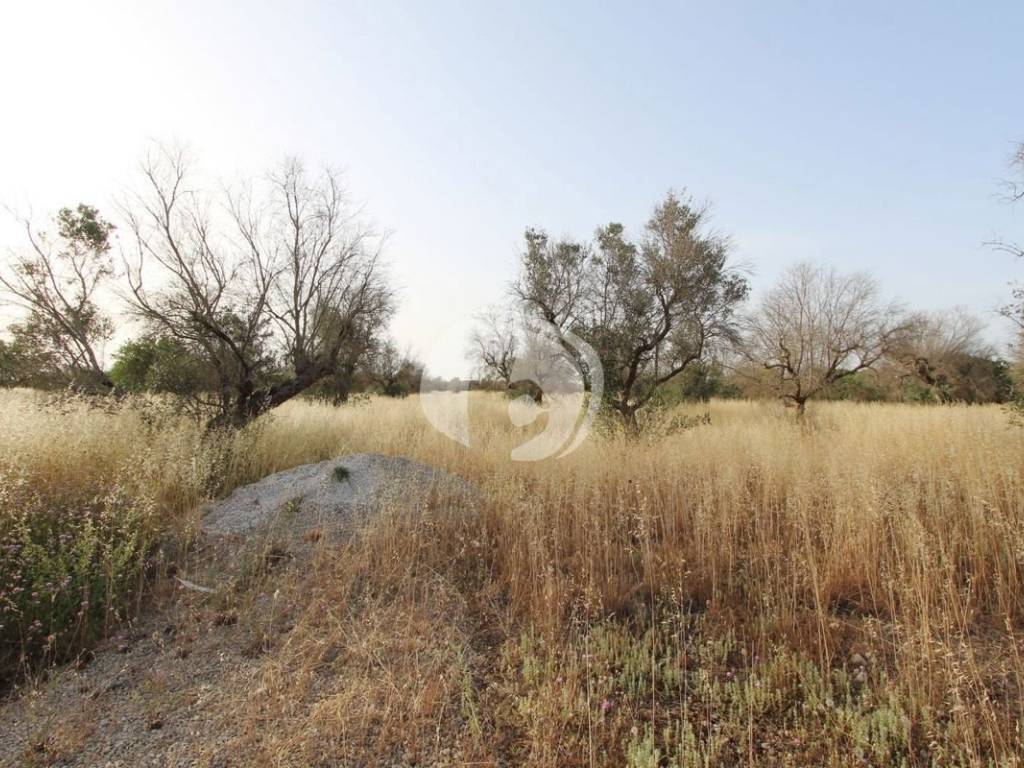 Terreno a Nardò in Strada Arene-Serrazze, 0 - Foto 4