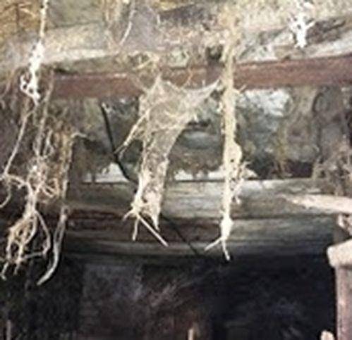 Rustico / casale a Carsoli - Foto 4